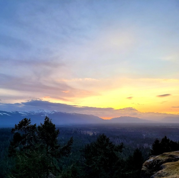 Meet your Posher, Jacob - Picture 1 of 1